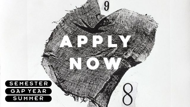 Apply Now19 banner